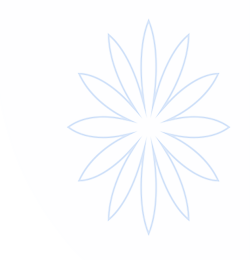 FB体育 (中国)官方网站-FB SPORTS