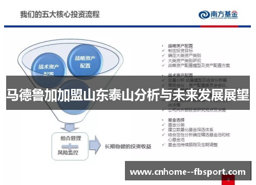 马德鲁加加盟山东泰山分析与未来发展展望
