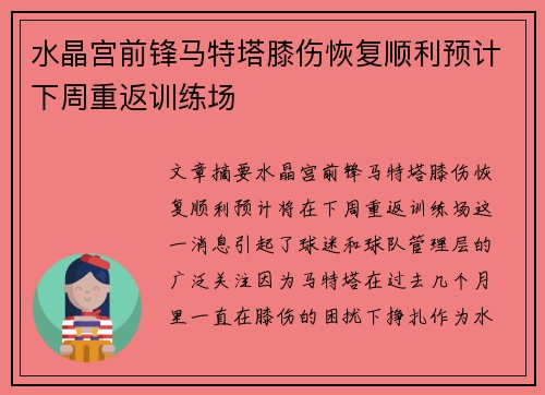 水晶宫前锋马特塔膝伤恢复顺利预计下周重返训练场